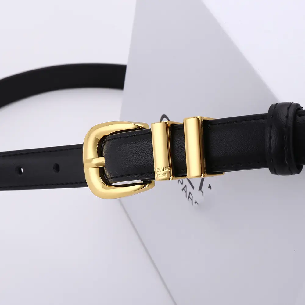 Women's Arc de Triomphe Gold Buckle Belt Brown Black — feature 18