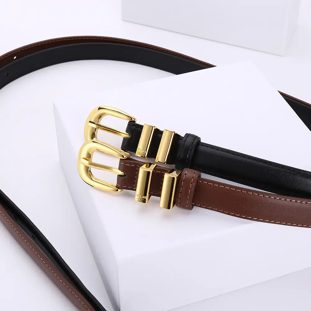 Women's Arc de Triomphe Gold Buckle Belt Brown Black — feature 24