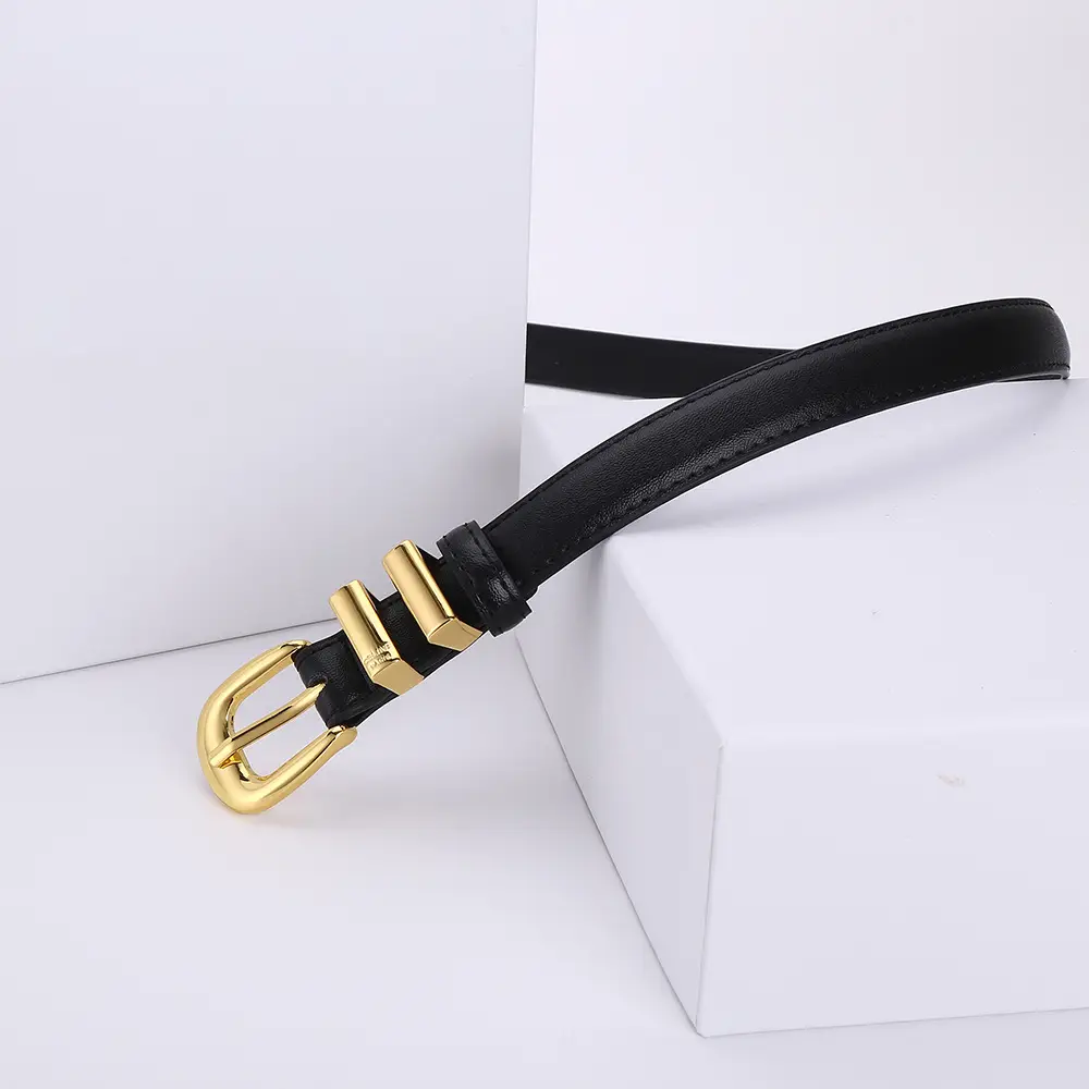Women's Arc de Triomphe Gold Buckle Belt Brown Black — feature 7