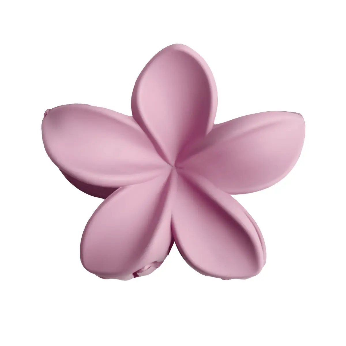 Bauhinia-Purple