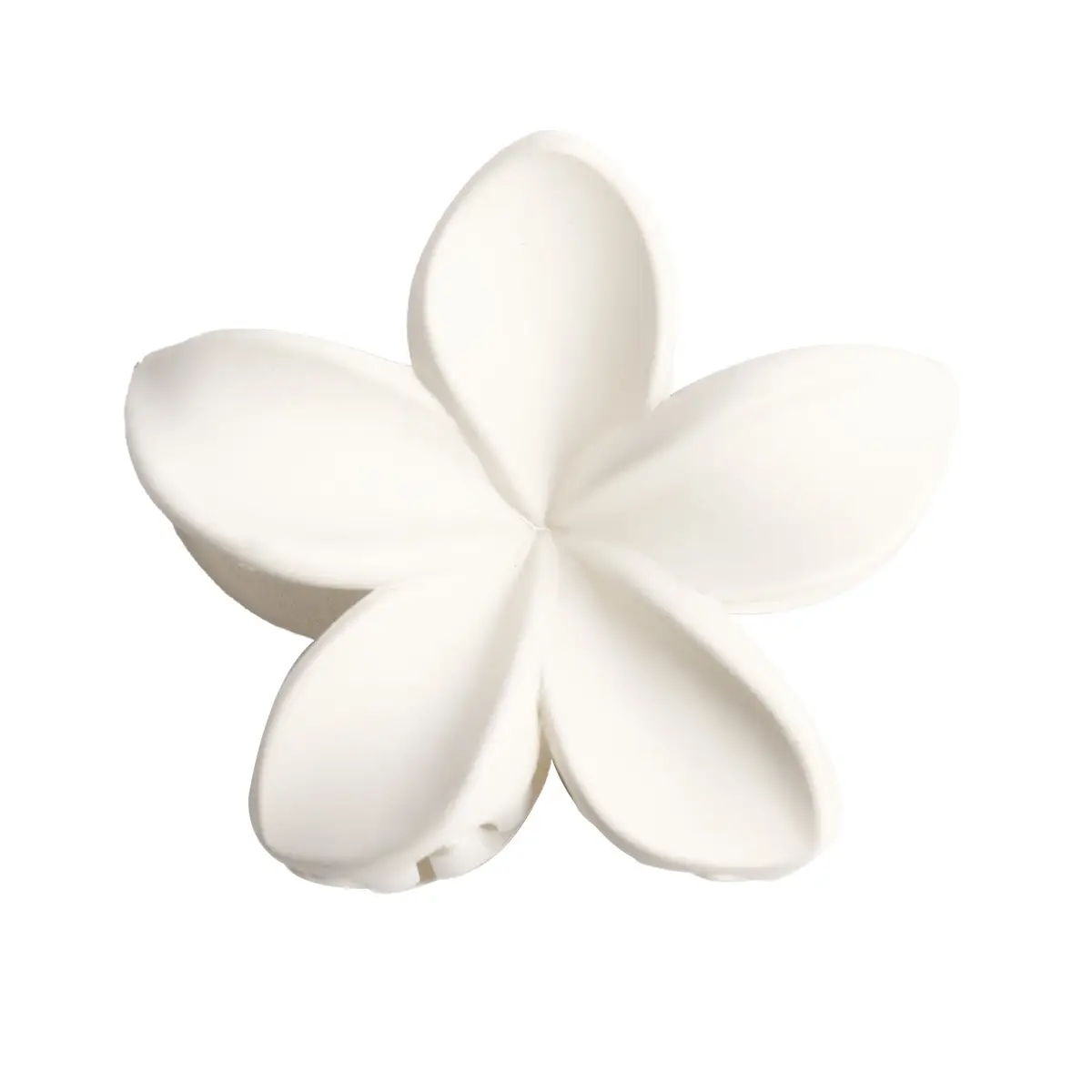 Bauhinia-White