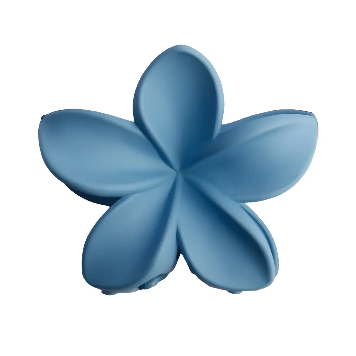 Bauhinia Acrylic Shark Grab Clip Set of 4