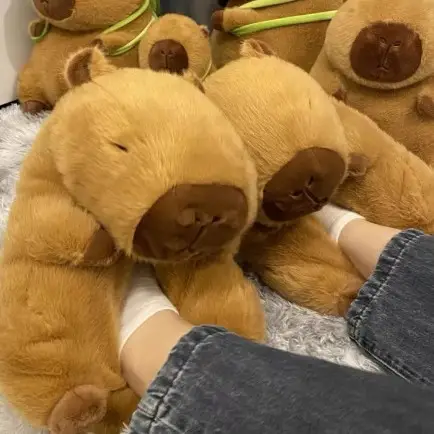 Cute cartoon water guinea pig capabala plush floor slippers cotton shoes men and women winter home bag heel warm cotton shoes - Image 3