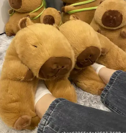 Cute cartoon water guinea pig capabala plush floor slippers cotton shoes men and women winter home bag heel warm cotton shoes - Image 2