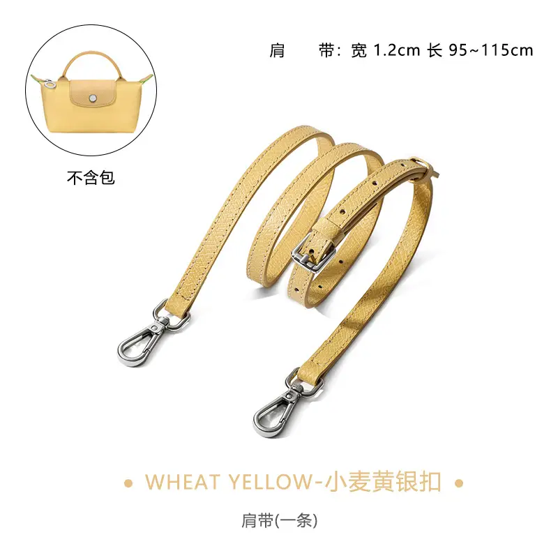 Gray Leather Shoulder Strap for Mini Bag