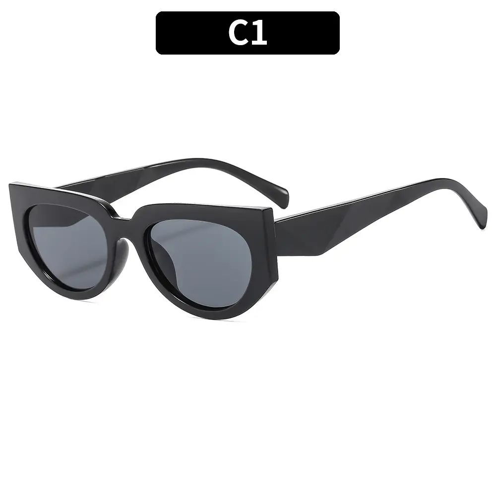 Retro Men Sunglasses C3 Leopard Print