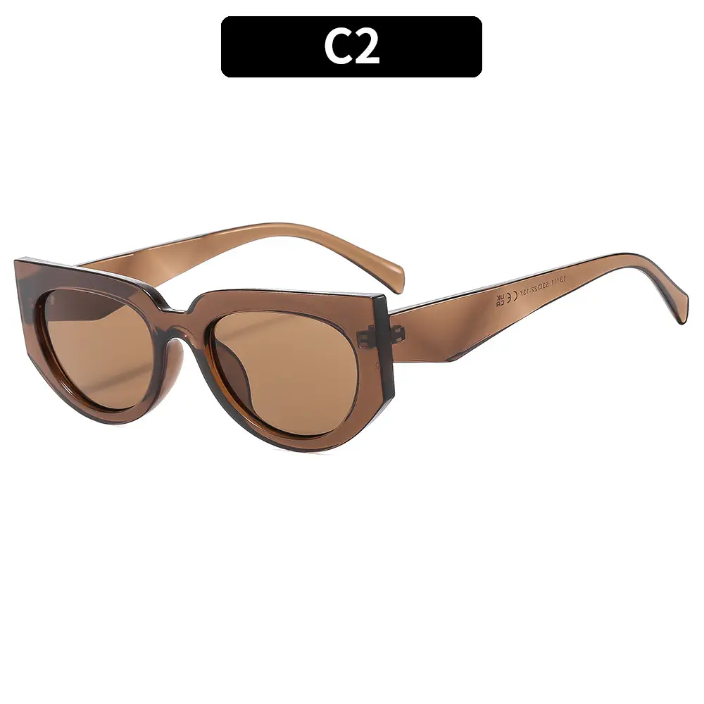 Retro Men Sunglasses C3 Leopard Print - Image 2