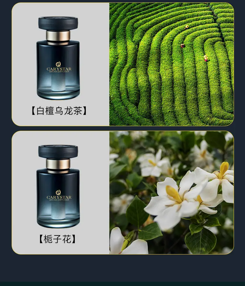 [Premium Selection] Car Fragrance Perfume, High-End Car Scent Decoration, Odor Removal, Premium Car Perfume — feature 11