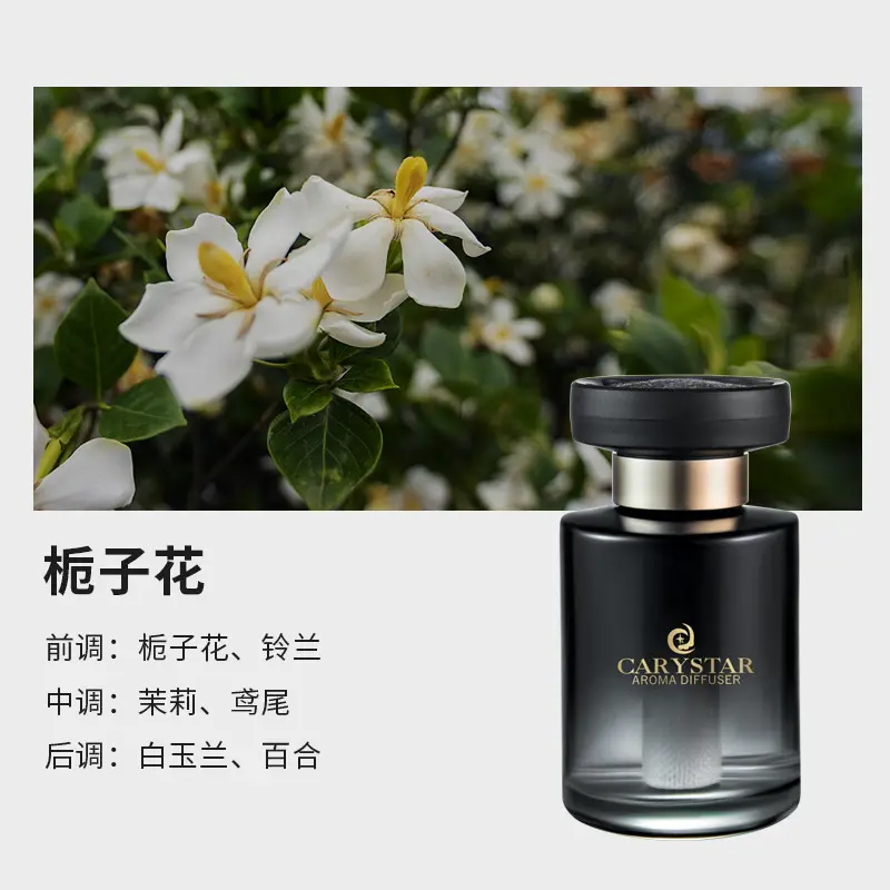 [Premium Selection] Car Fragrance Perfume, High-End Car Scent Decoration, Odor Removal, Premium Car Perfume