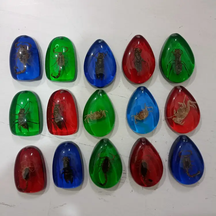 Natural Insect Resin Amber Scorpion Wasp Crab Butterfly Specimen