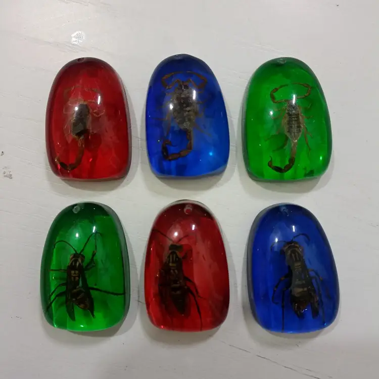 Natural Insect Resin Amber Scorpion Wasp Crab Butterfly Specimen — feature 2