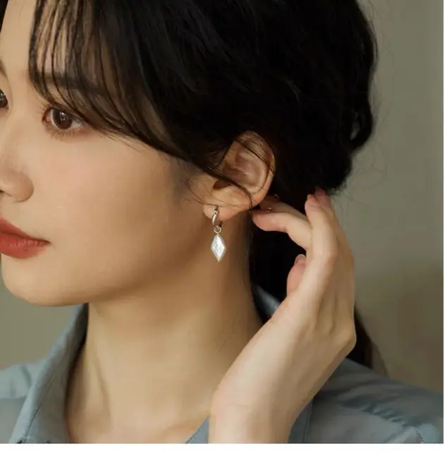 New Niche Pearl Ear Buckle for Women Elegant Earrings — feature 4