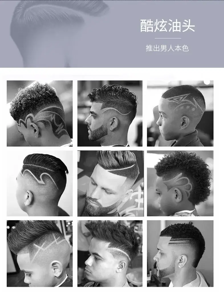 Professional Electric Hair Clipper with Oil Head for Carving Razor — feature 2