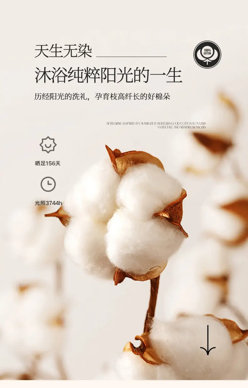 Luxury 60S Long-Staple Cotton Bedding Four-Piece Set, Pure Cotton Embroidered Style, Bed Sheet, Duvet Cover, Fitted Sheet, Nantong Home Textiles — feature 4