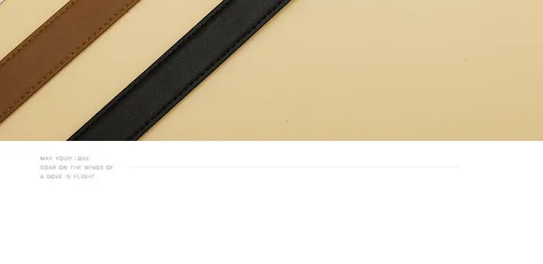 2024 New Women's Black Gold Buckle Belt — feature 21