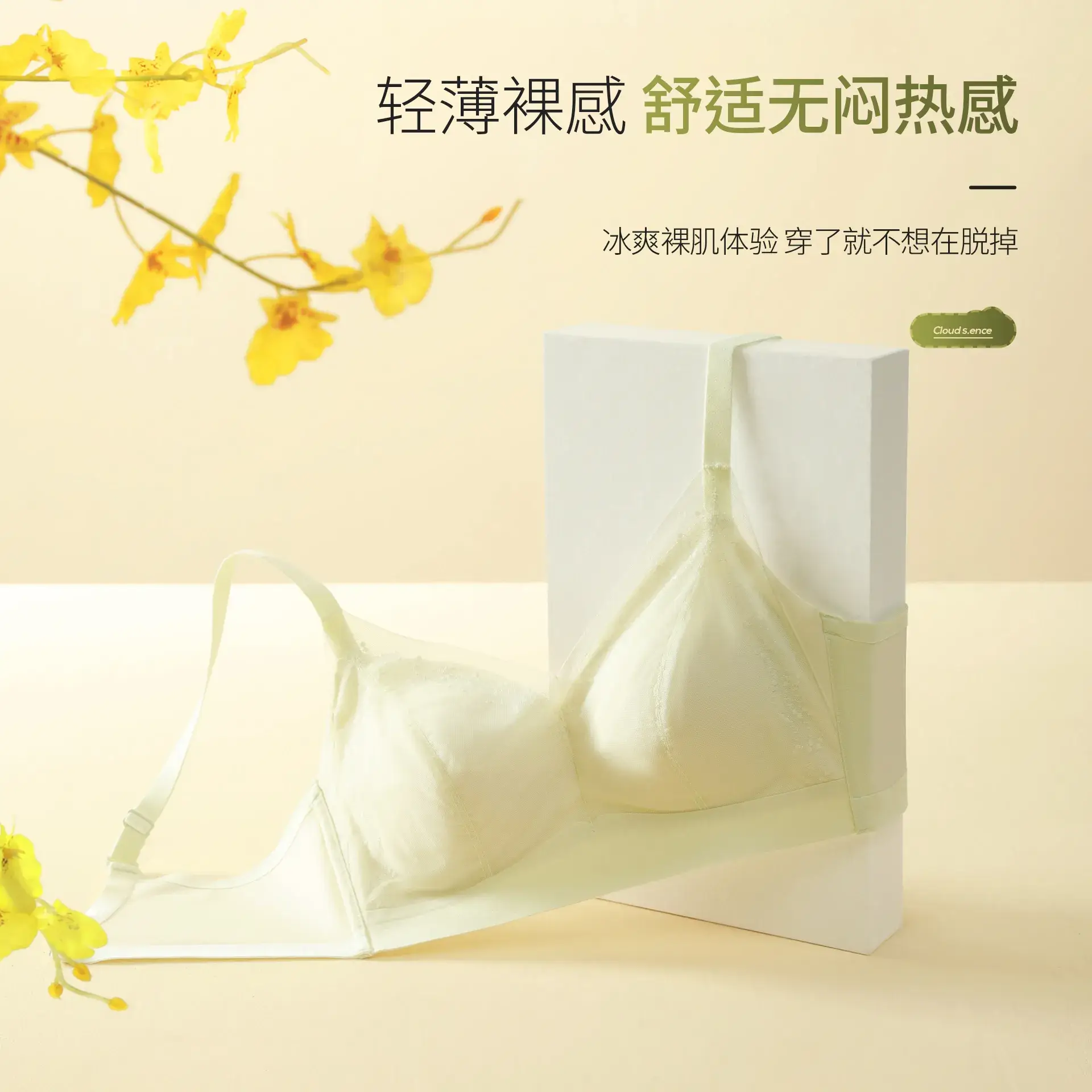 Women's Mulberry Silk Push-Up Slide Cup Bra - Image 5