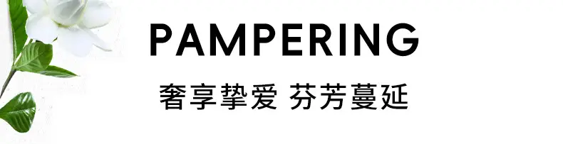 Internet Celebrity Popular Black Swan Perfume for Women Long-Lasting Light Fragrance Student Natural Fresh Floral and Fruity Fragrance Wholesale Dropshipping — feature 14