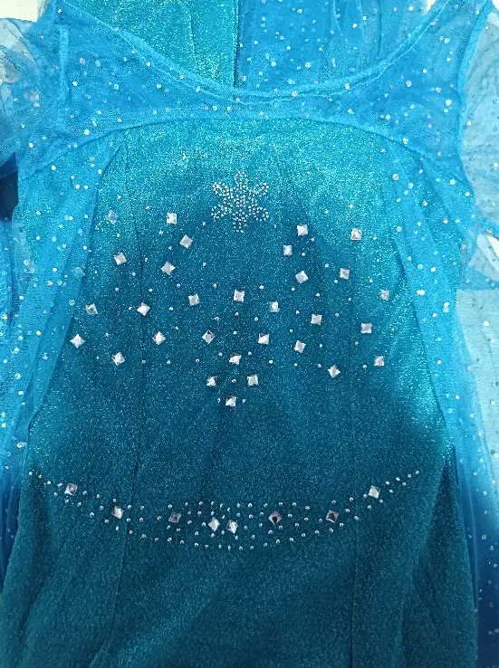 Halloween Frozen cosplay Princess Aisha Dress Adult Cosplay Adult Table Costume — feature 5