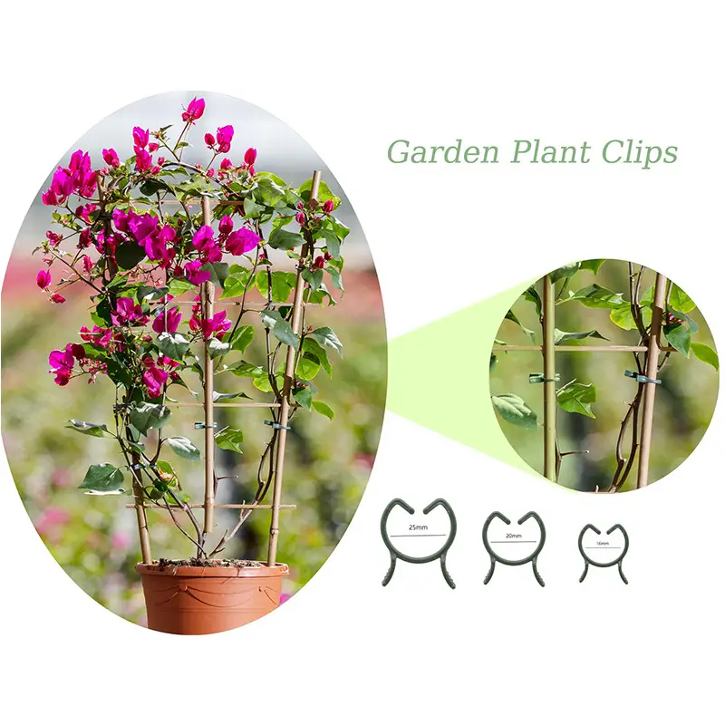 Gardening Clip Butterfly Buckle Large Eight-Character Plant Binding Tie Vine Fixed Clip Holder Plastic Small Clip