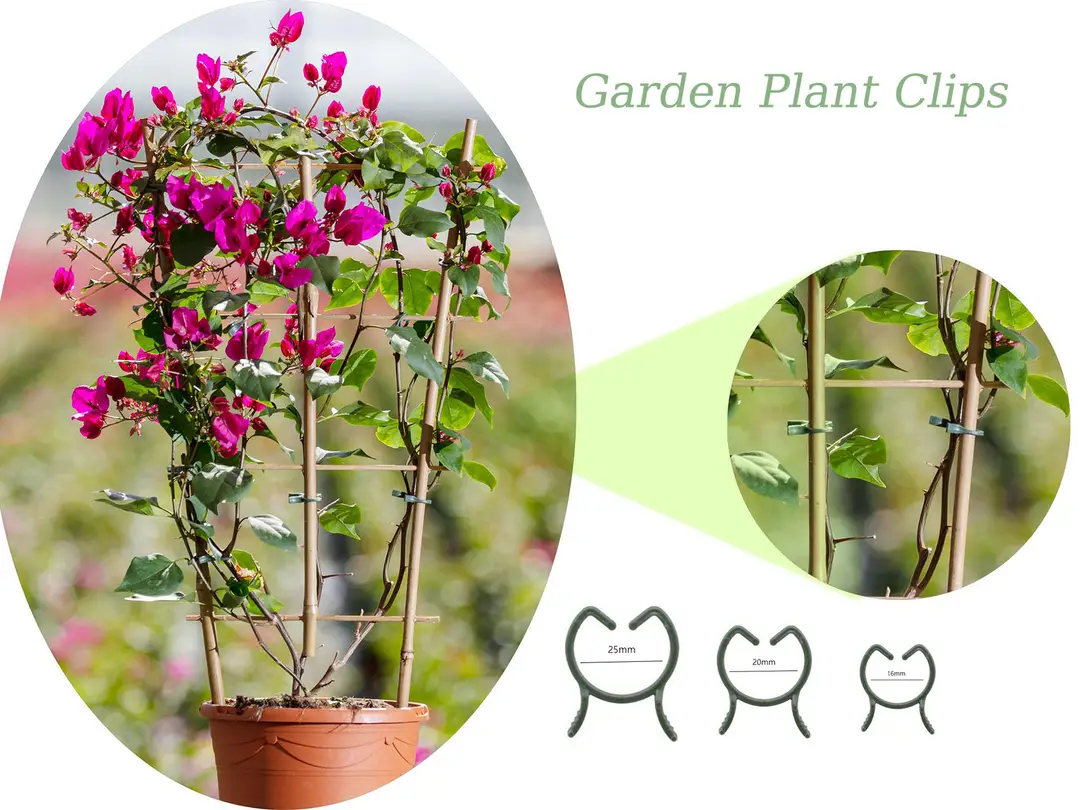 Gardening Clip Butterfly Buckle Large Eight-Character Plant Binding Tie Vine Fixed Clip Holder Plastic Small Clip — feature 1