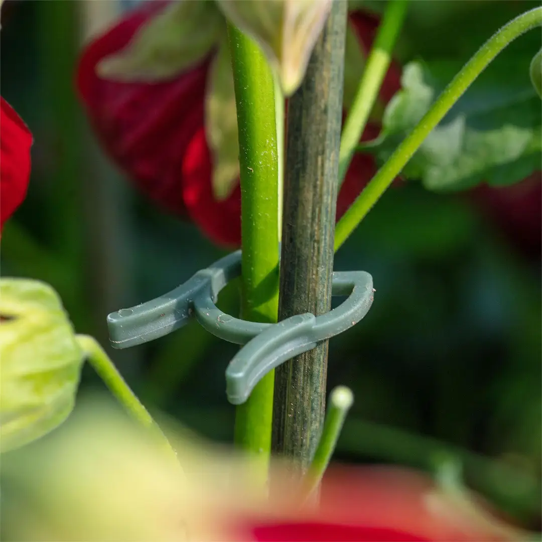 Gardening Clip Butterfly Buckle Large Eight-Character Plant Binding Tie Vine Fixed Clip Holder Plastic Small Clip — feature 7