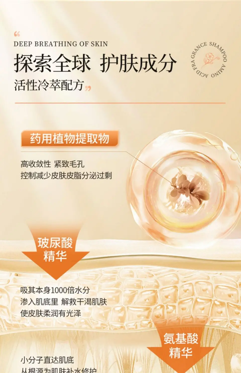 White Tea Fragrance Shower Gel, Perfume-Type Long-Lasting Fragrance, Top Ten Famous Brands, Oil Control, Best-Selling Household Shampoo Set — feature 12