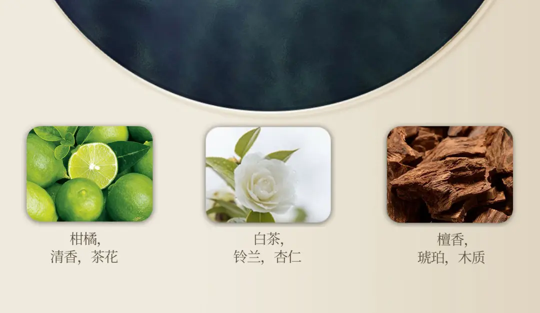 White Tea Fragrance Shower Gel, Perfume-Type Long-Lasting Fragrance, Top Ten Famous Brands, Oil Control, Best-Selling Household Shampoo Set — feature 5