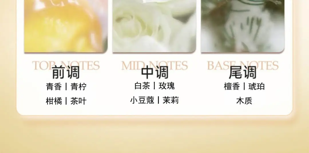White Tea Fragrance Shower Gel, Perfume-Type Long-Lasting Fragrance, Top Ten Famous Brands, Oil Control, Best-Selling Household Shampoo Set — feature 7