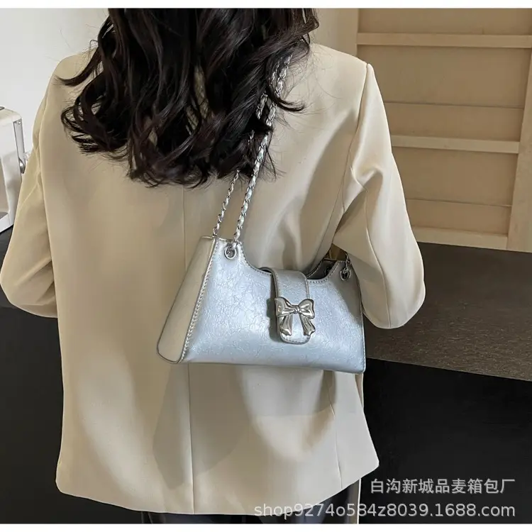 Trendy Chain Shoulder Bag for Women 2026 New Fashion — feature 1