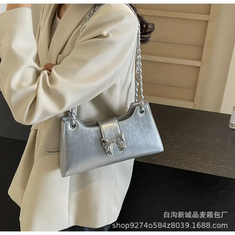 Trendy Chain Shoulder Bag for Women 2026 New Fashion — feature 2