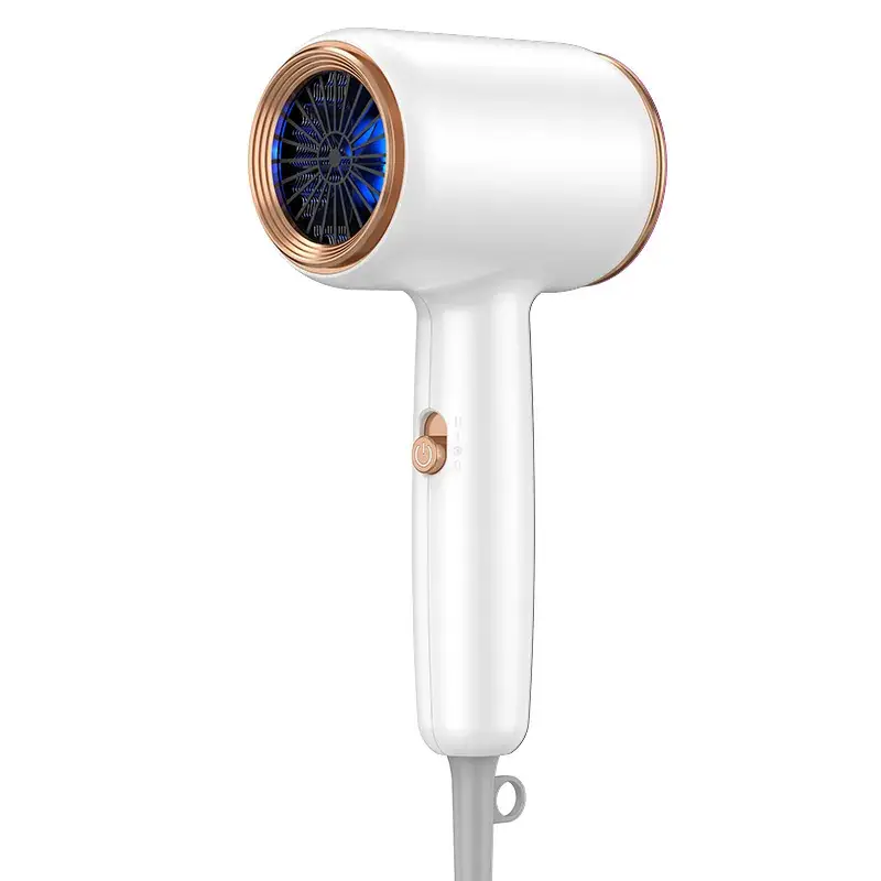 High-Power Hair Dryer with Blue Light & Negative Ion Technology - Image 11