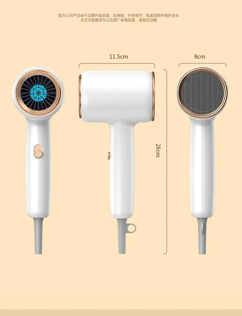 High-Power Hair Dryer with Blue Light & Negative Ion Technology — feature 27