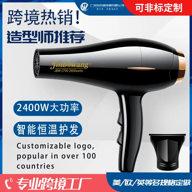 Jin Bo Wang 3700 Hair Dryer with Cold/Hot Wind Control — feature 2