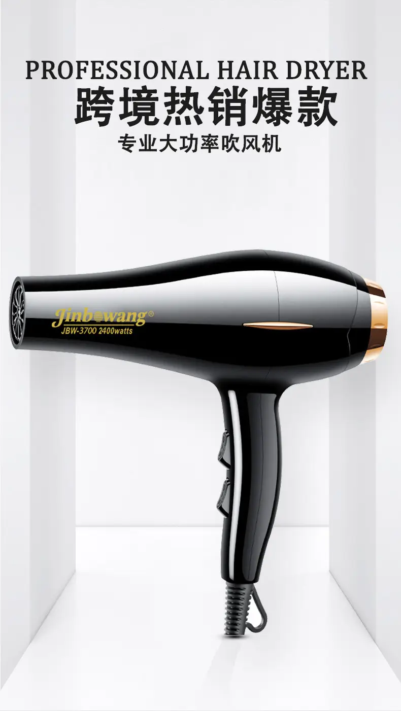 Jin Bo Wang 3700 Hair Dryer with Cold/Hot Wind Control — feature 3