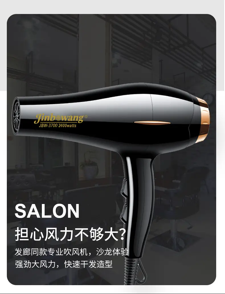 Jin Bo Wang 3700 Hair Dryer with Cold/Hot Wind Control — feature 6