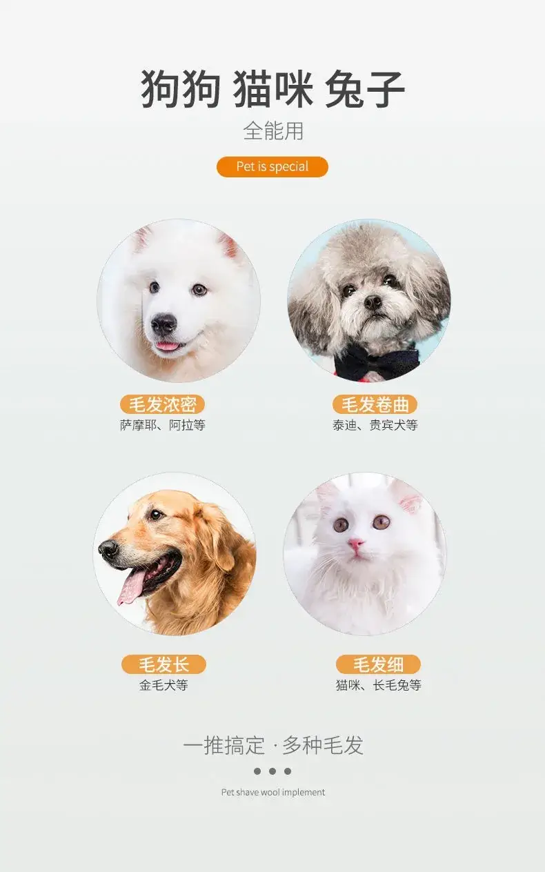 Pet Electric Hair Clipper with 6 Blades & USB Charging — feature 10