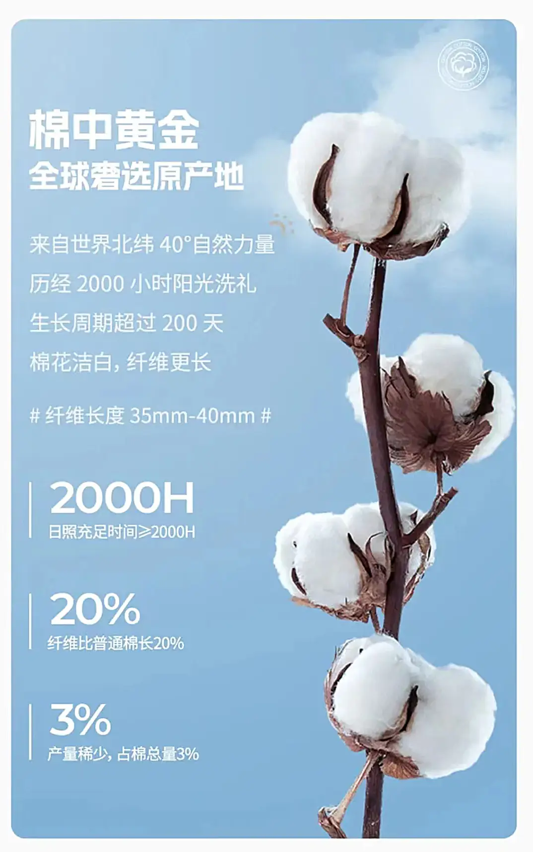 Men White Cotton T-Shirt Short Sleeve Loose Fit — feature 3