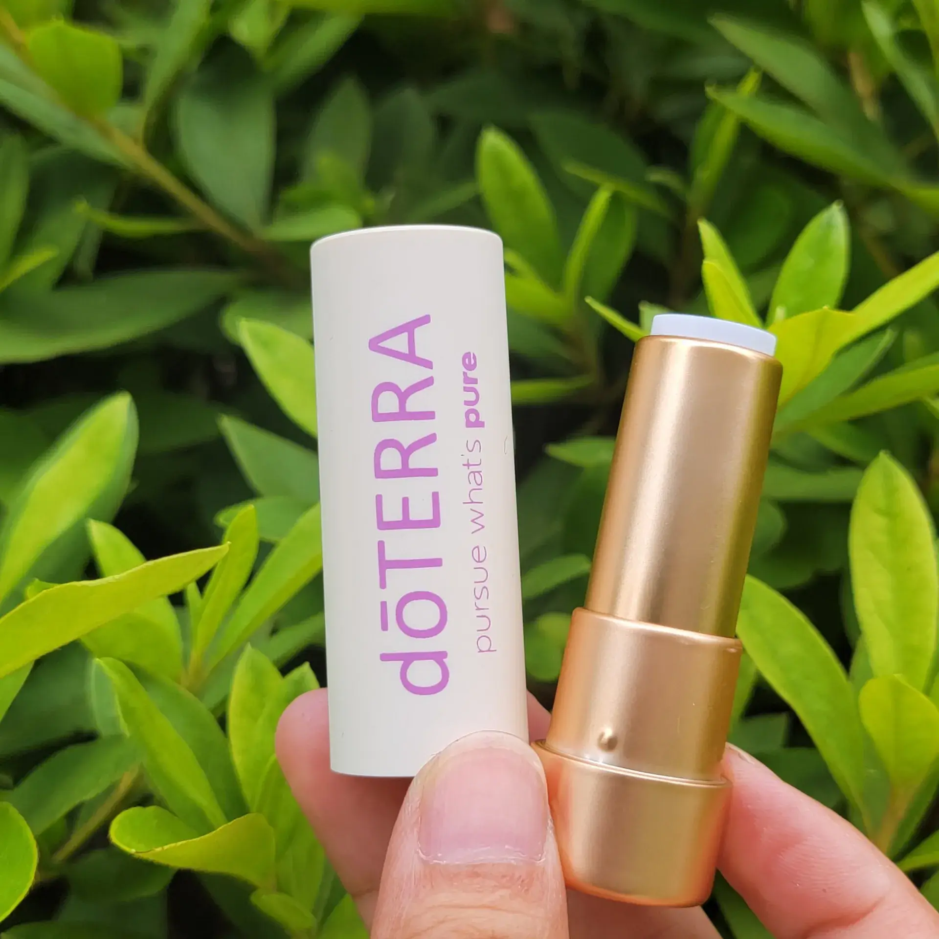 Dotrui Matte Lipstick Gold Plated Tube - Image 5