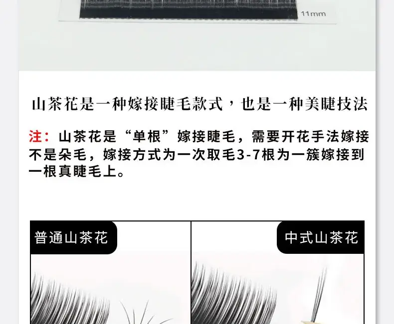 Chinese Camellia Eyelash Graft for Matte Look — feature 7