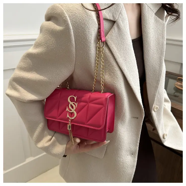 Women's Chain Crossbody Bag 2024 Spring New - Image 8
