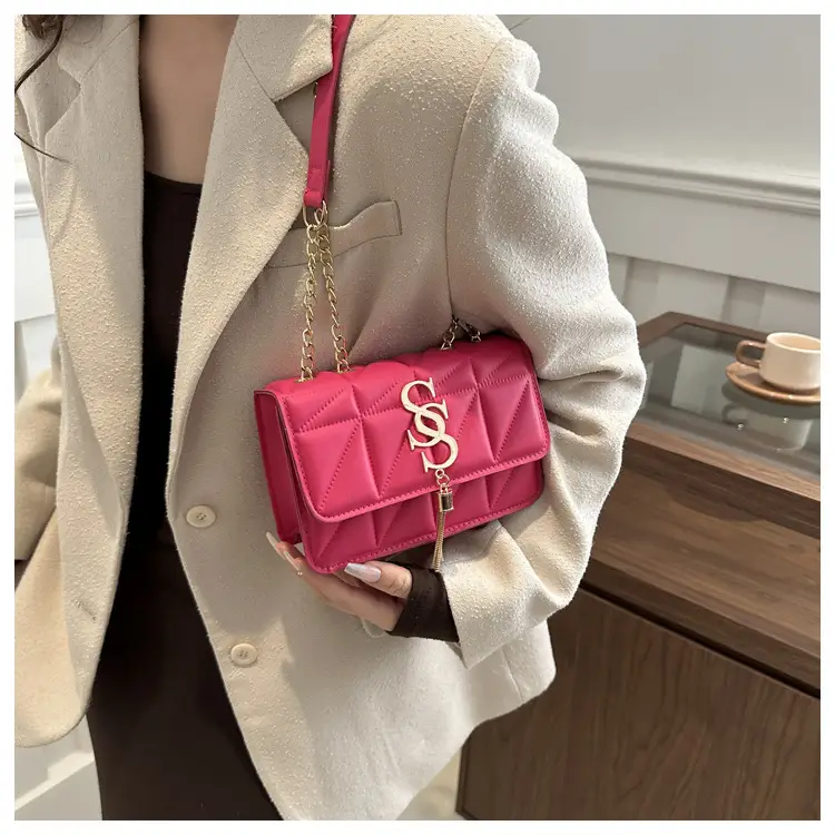 Women's Chain Crossbody Bag 2024 Spring New — feature 12