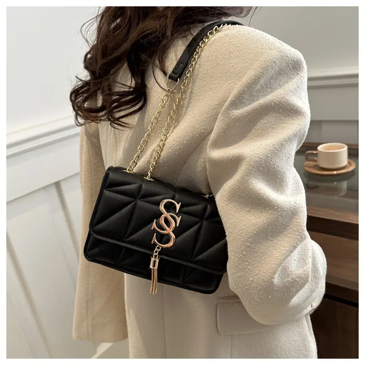 Women's Chain Crossbody Bag 2024 Spring New — feature 14