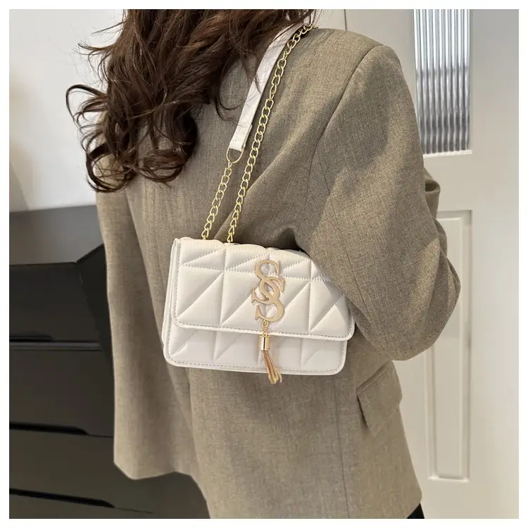 Women's Chain Crossbody Bag 2024 Spring New — feature 27
