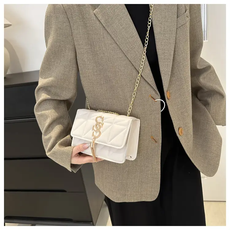 Women's Chain Crossbody Bag 2024 Spring New — feature 28