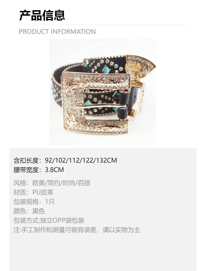 Black Rhinestone Belt with Retro Pin Buckle — feature 5