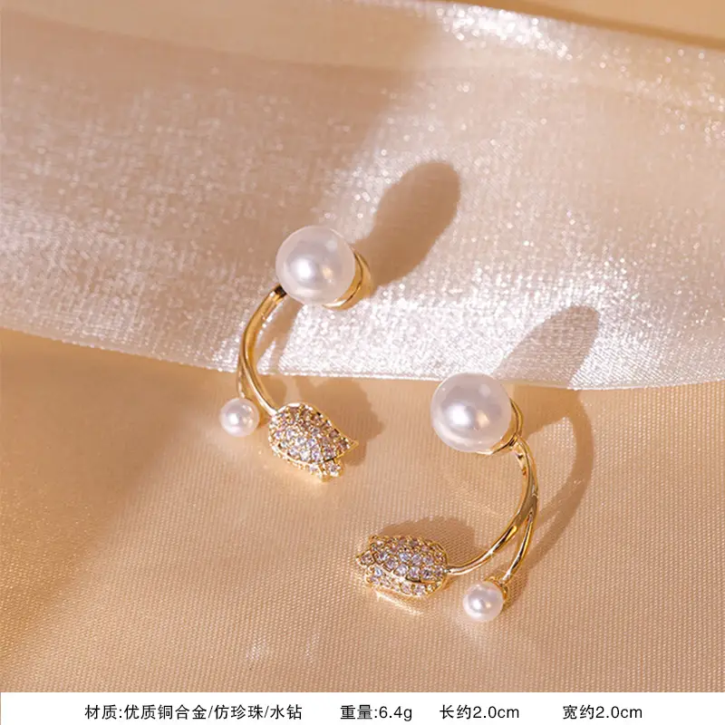 S925 Silver Needle Earrings for Women Light Luxury Geometric Design — feature 27