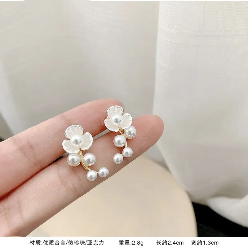 S925 Silver Needle Earrings for Women Light Luxury Geometric Design — feature 33