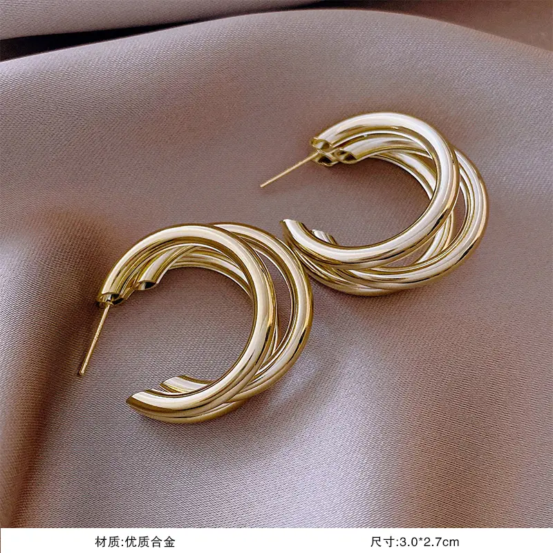 S925 Silver Needle Earrings for Women Light Luxury Geometric Design — feature 9