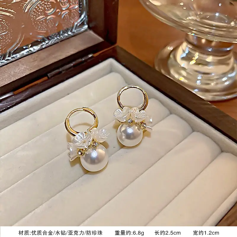 S925 Silver Needle Earrings for Women Light Luxury Geometric Design - Image 16