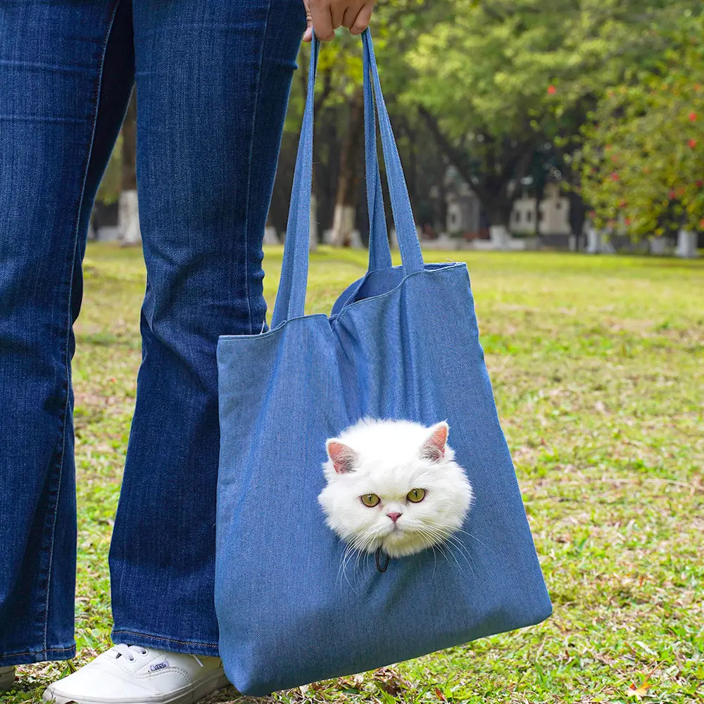 Pet Outgoing Cat Crossbody Bag with Cat Design — feature 15